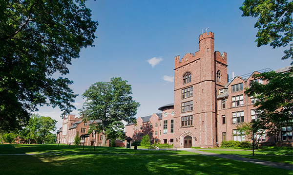 The paradox of higher ed mergers and acquisitions image