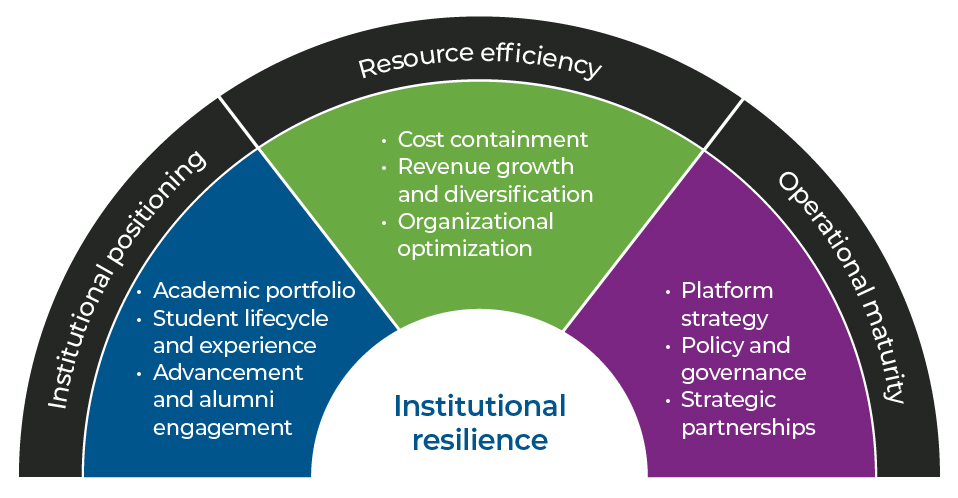 Institutional resilience chart involving positioning, resource effificency and maturity