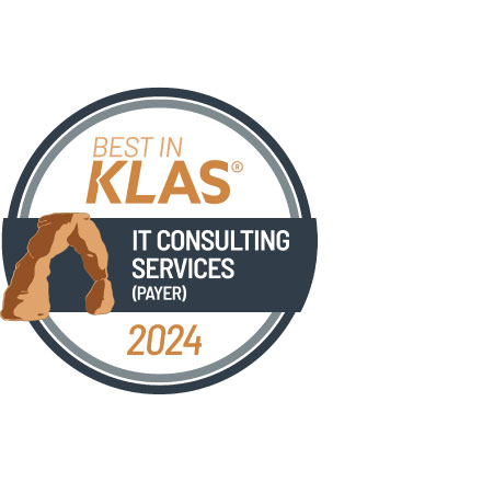 IT Consulting Services (Payer)